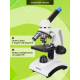 Микроскоп цифровой Levenhuk Discovery Femto Polar с книгой