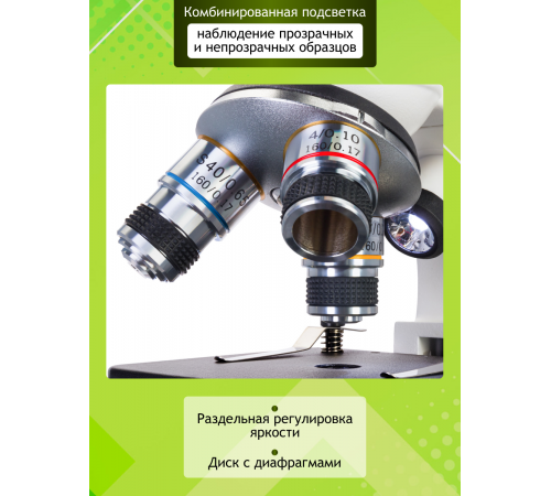 Микроскоп цифровой Levenhuk Discovery Femto Polar с книгой