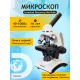 Микроскоп Levenhuk Discovery Atto Polar с книгой
