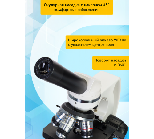 Микроскоп Levenhuk Discovery Atto Polar с книгой Микроскоп Levenhuk Discovery Atto Polar с книгой