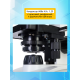 Микроскоп Levenhuk Discovery Atto Polar с книгой