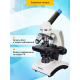 Микроскоп цифровой Levenhuk Discovery Atto Polar с книгой