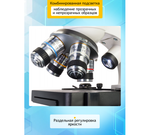 Микроскоп цифровой Levenhuk Discovery Atto Polar с книгой