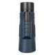 Монокуляр Levenhuk Discovery Gator 10x42