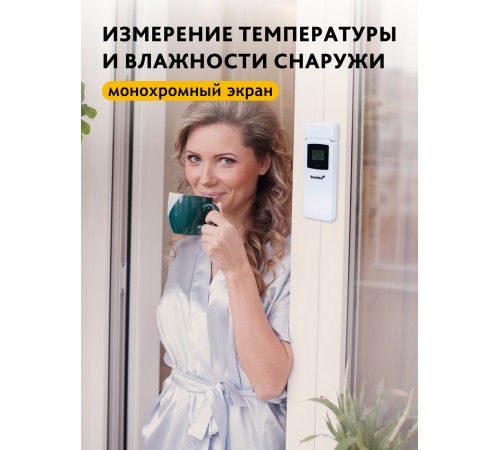 Термометр Levenhuk Wezzer BASE L50