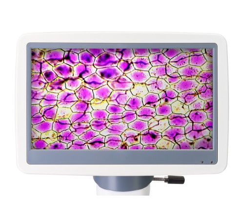 Микроскоп цифровой Levenhuk D85L LCD