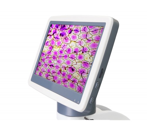 Микроскоп цифровой Levenhuk D85L LCD