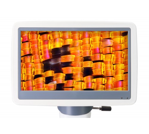 Микроскоп цифровой Levenhuk D95L LCD