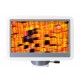 Микроскоп цифровой Levenhuk D95L LCD