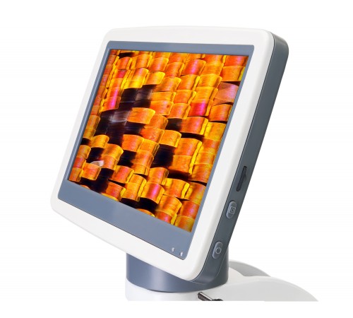 Микроскоп цифровой Levenhuk D95L LCD