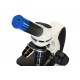 Микроскоп цифровой Levenhuk Discovery Pico Polar с книгой