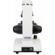 Микроскоп Levenhuk Discovery Femto Polar с книгой