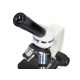 Микроскоп Levenhuk Discovery Femto Polar с книгой