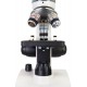 Микроскоп Levenhuk Discovery Femto Polar с книгой