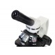 Микроскоп Levenhuk Discovery Atto Polar с книгой