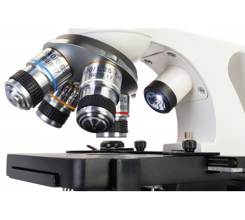 Микроскоп Levenhuk Discovery Atto Polar с книгой Микроскоп Levenhuk Discovery Atto Polar с книгой