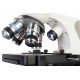 Микроскоп Levenhuk Discovery Atto Polar с книгой