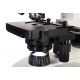 Микроскоп Levenhuk Discovery Atto Polar с книгой