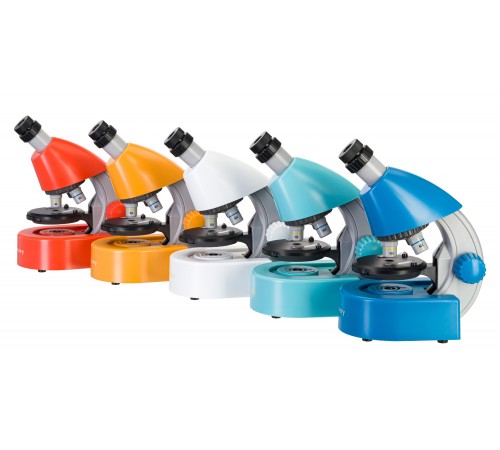 Микроскоп Levenhuk Discovery Micro с книгой Микроскоп Levenhuk Discovery Micro с книгой