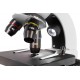 Микроскоп цифровой Levenhuk Discovery Nano Polar с книгой