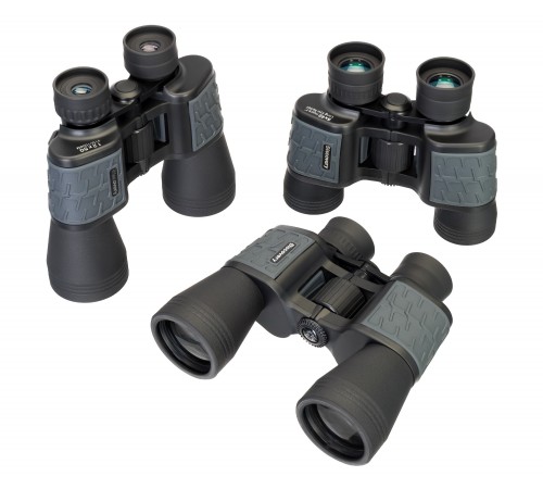 Бинокль Levenhuk Discovery Flint 10x50