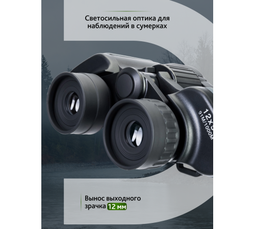Бинокль Levenhuk Discovery Flint 12x50 Бинокль Levenhuk Discovery Flint 12x50