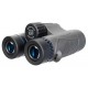 Бинокль Levenhuk Nitro 10x32