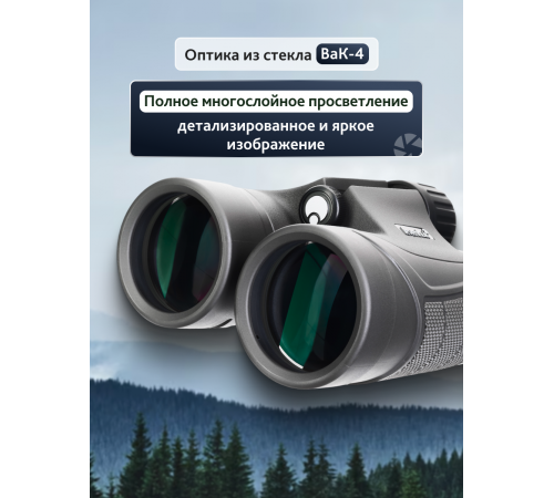 Бинокль Levenhuk Nitro 10x42