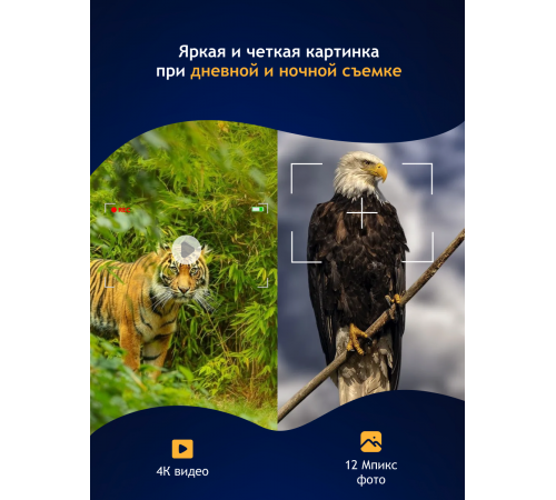 Бинокль цифровой ночного видения Levenhuk Halo 13X Helmet, с креплением на голову