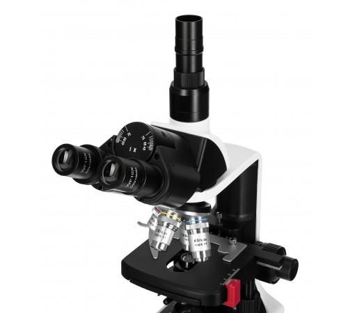 Микроскоп Levenhuk 450T, тринокулярный Микроскоп Levenhuk 450T, тринокулярный