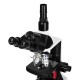 Микроскоп Levenhuk 450T, тринокулярный