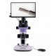 Микроскоп стереоскопический цифровой MAGUS Stereo D7T LCD BASE