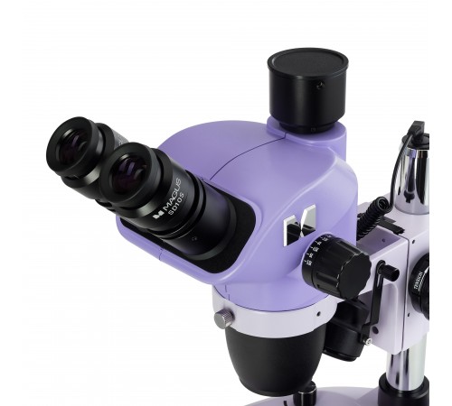 Микроскоп стереоскопический цифровой MAGUS Stereo D8T BASE Микроскоп стереоскопический цифровой MAGUS Stereo D8T BASE