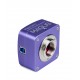 Микроскоп стереоскопический цифровой MAGUS Stereo D8T PLUS