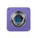 Микроскоп стереоскопический цифровой MAGUS Stereo D8T PLUS