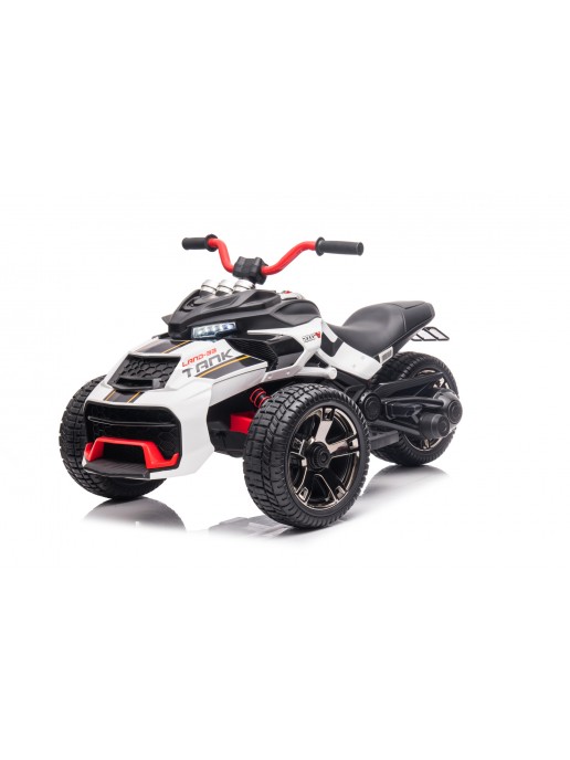 Электротрицикл 8069 Белый