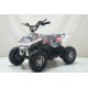 Квадроцикл ATV-2E 36V1000W Мульти черный (Scull 8)