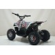 Квадроцикл ATV-2E 36V1000W Мульти черный (Scull 8)