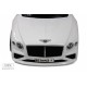 Детский толокар Bentley Z004ZZ-T белый