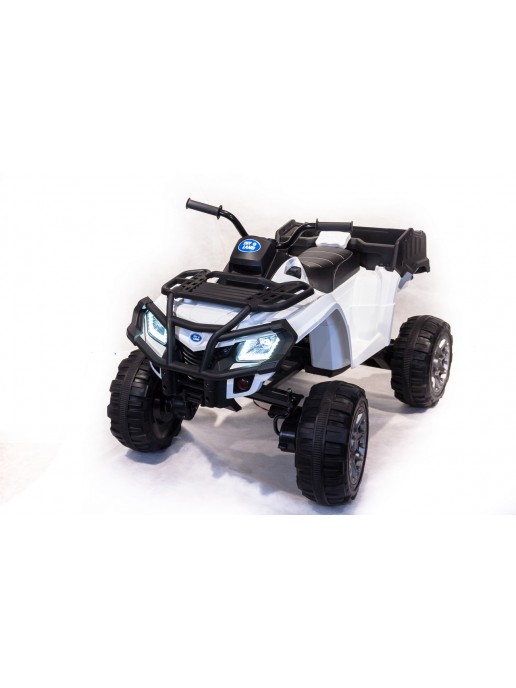 Квадроцикл BDM 0909 Белый