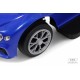 Детский толокар Z005ZZ-T синий