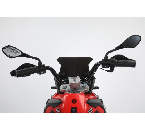 Мотоцикл Moto BMW R 1250 7712 Красный