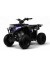 Детский квадроцикл SIMBA черный Spider