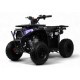 Детский квадроцикл SIMBA черный Spider