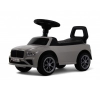 Детский толокар Z004ZZ-T серый