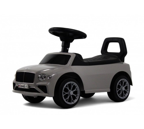 Детский толокар Z004ZZ-T серый