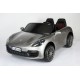 Автомобиль Porsche Panamera 1484 Серебро краска