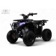Детский квадроцикл SIMBA черный Spider