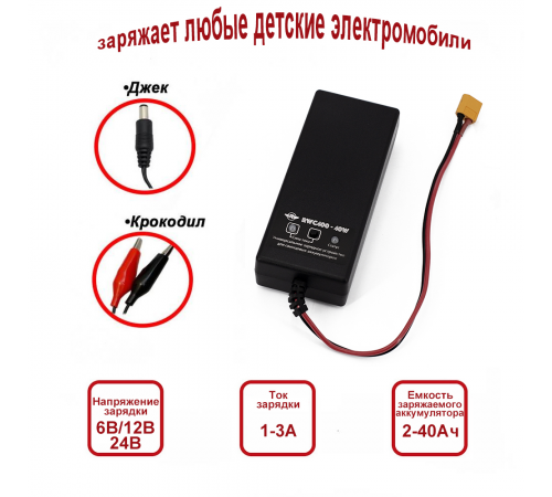Универсальное зарядное устройство для свинцовых аккумуляторов 6В/12В/24В - RWC400