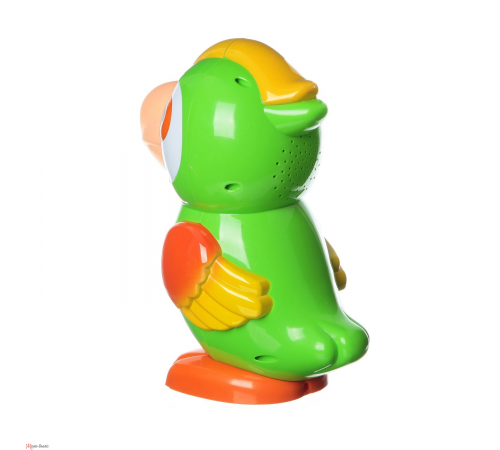 «Умный попугай»